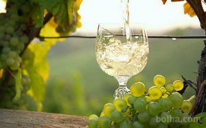 Jetra i žučni vodovi i prehrana - Vino - PLIVAzdravlje