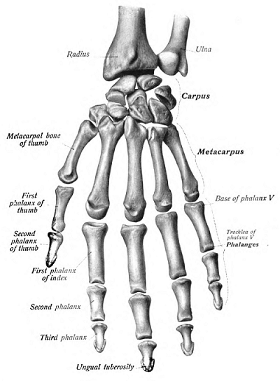 compresați pentru durerea articulației genunchiului boli articulare umane