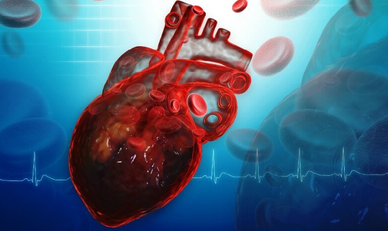 reumatska-bolest-srca