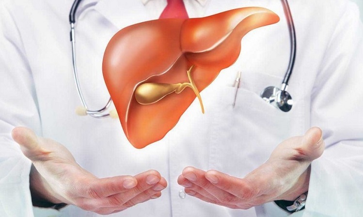 Novo istraživanje cirkulacije jetre obećava uspešnu transplantaciju