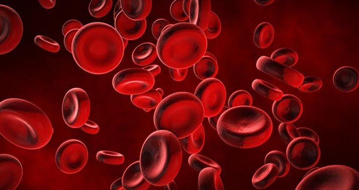 Laboratorijske analize crvene krvne loze