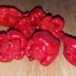 zasto-osecamo-ljuto-555