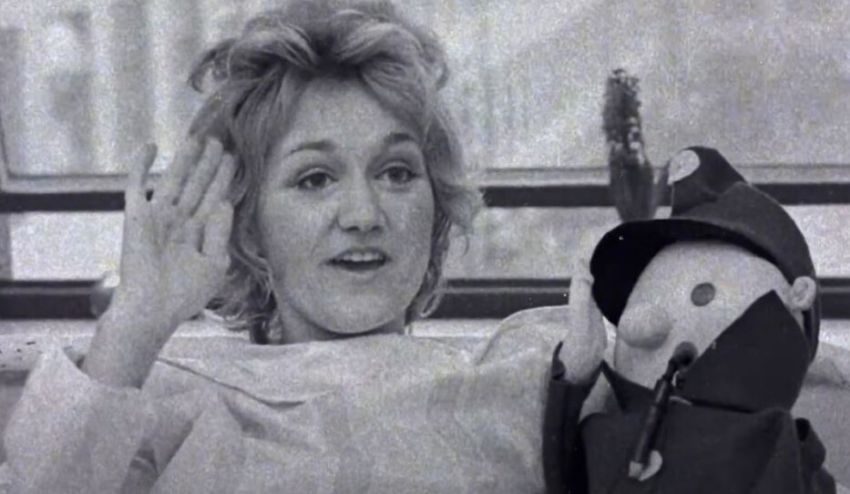 vesna vulović